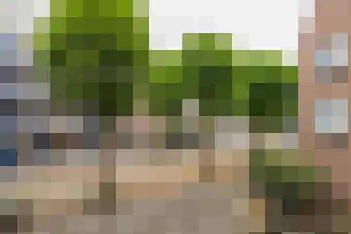 Arthur van Schendelplein 26 Hillegom thumbnail 29