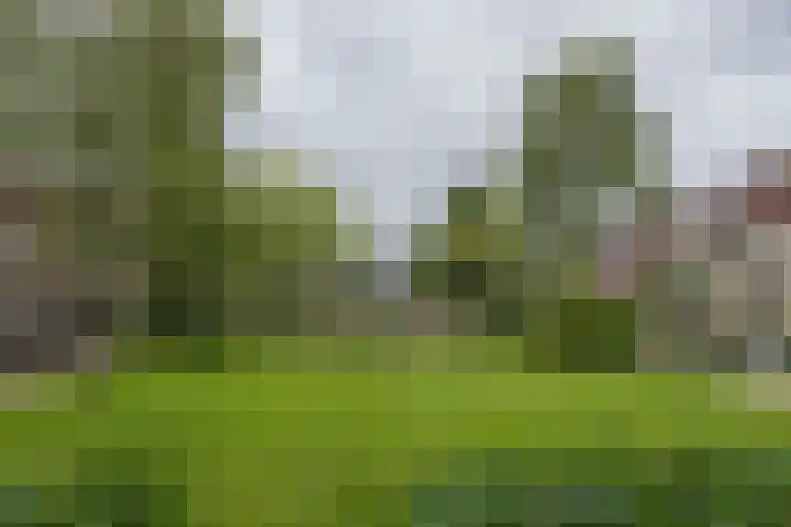 Arthur van Schendelplein 26 Hillegom thumbnail 31
