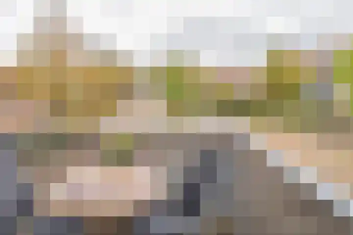Arthur van Schendelplein 33 Hillegom thumbnail 25