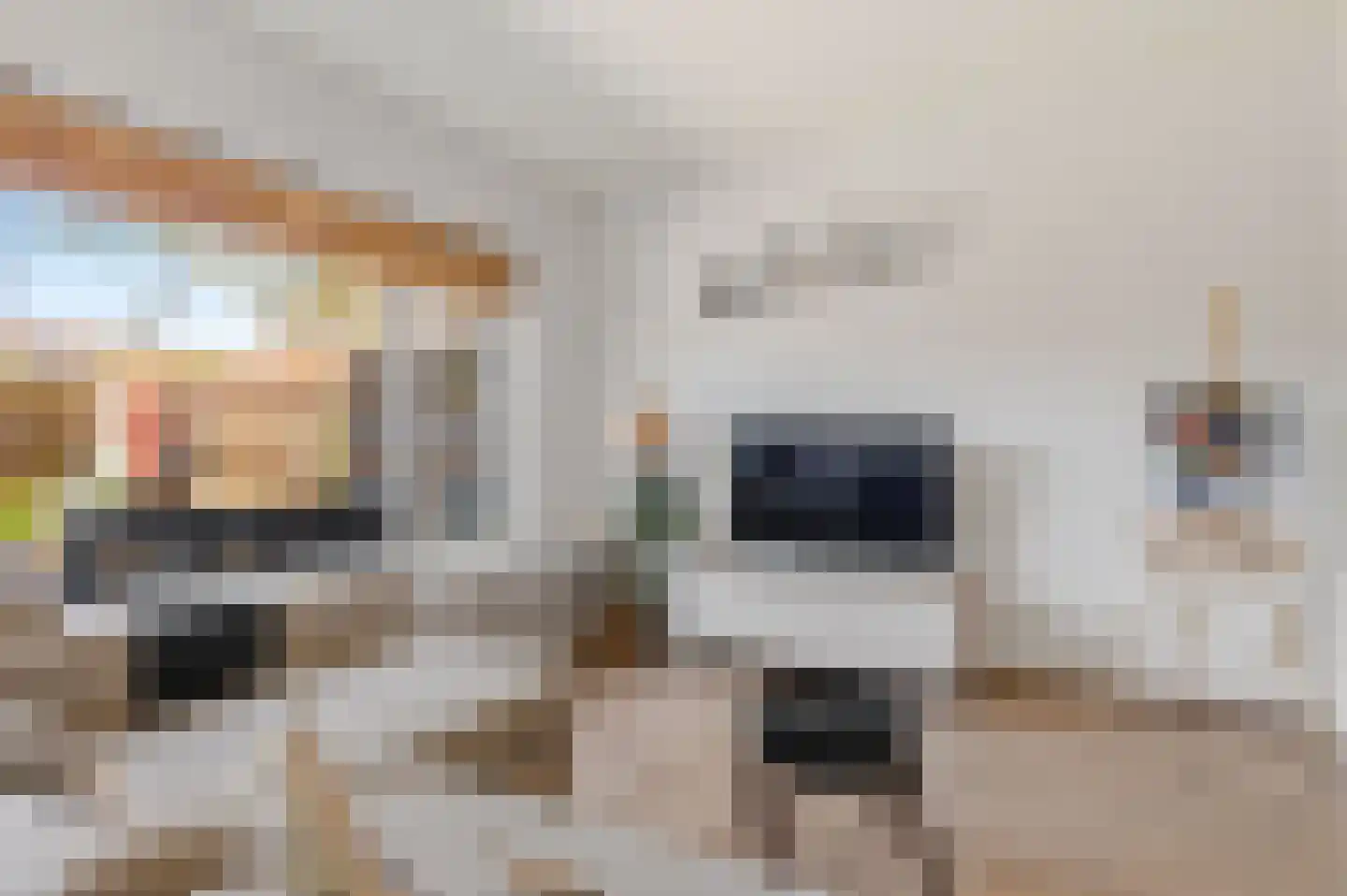 Arthur van Schendelplein 4 Hillegom thumbnail 8