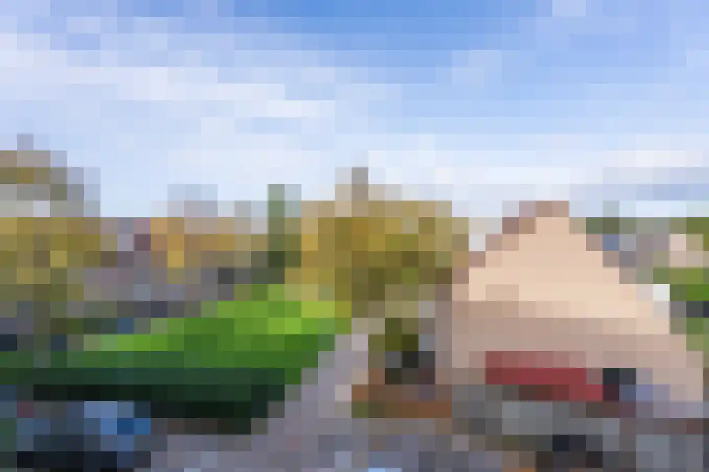 Arthur van Schendelplein 41 Hillegom thumbnail 12