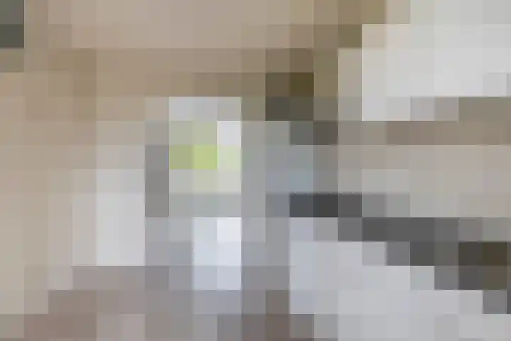 Arthur van Schendelplein 57 Hillegom thumbnail 12