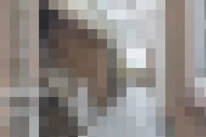 Arthur van Schendelplein 57 Hillegom thumbnail 27