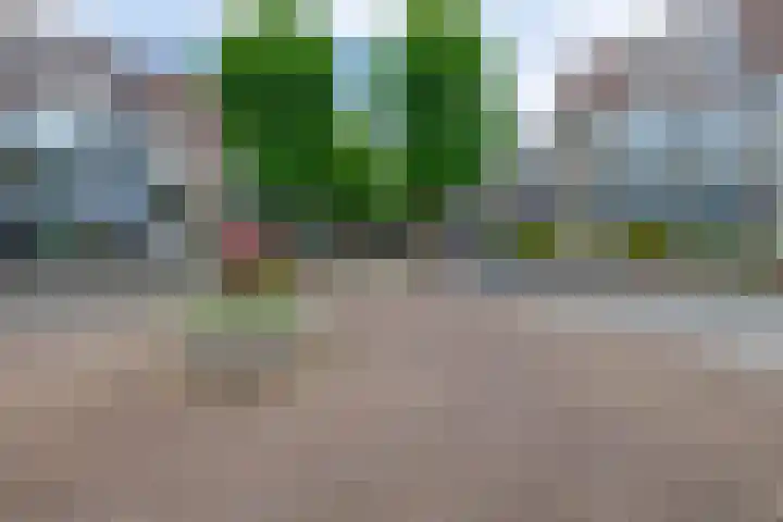 Arthur van Schendelplein 57 Hillegom thumbnail 30