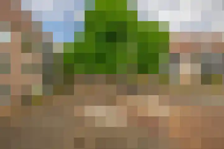 Arthur van Schendelplein 57 Hillegom thumbnail 31