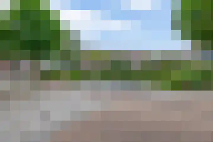 Arthur van Schendelplein 57 Hillegom thumbnail 35