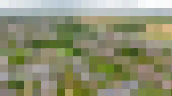 Arthur van Schendelplein 57 Hillegom thumbnail 37