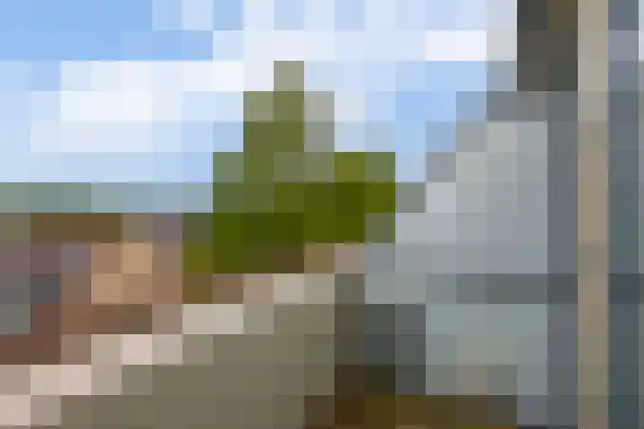 Arthur van Schendelplein 57 Hillegom thumbnail 4