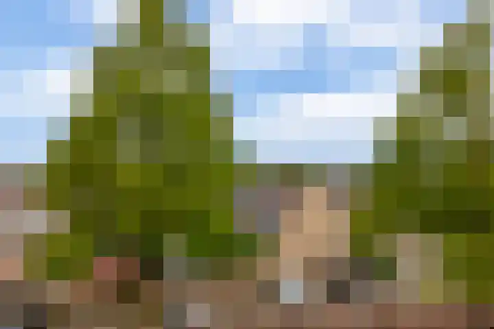 Arthur van Schendelplein 57 Hillegom thumbnail 6