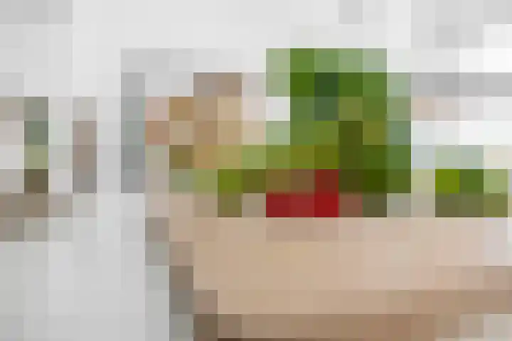 Arthur van Schendelplein 6 Hillegom thumbnail 13