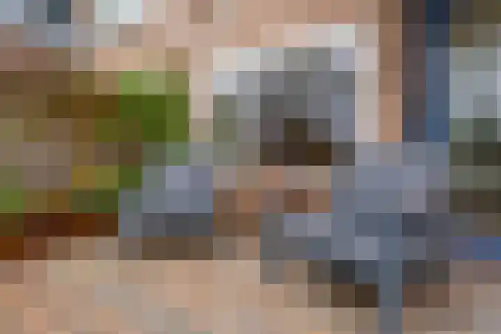 Arthur van Schendelplein 6 Hillegom thumbnail 24