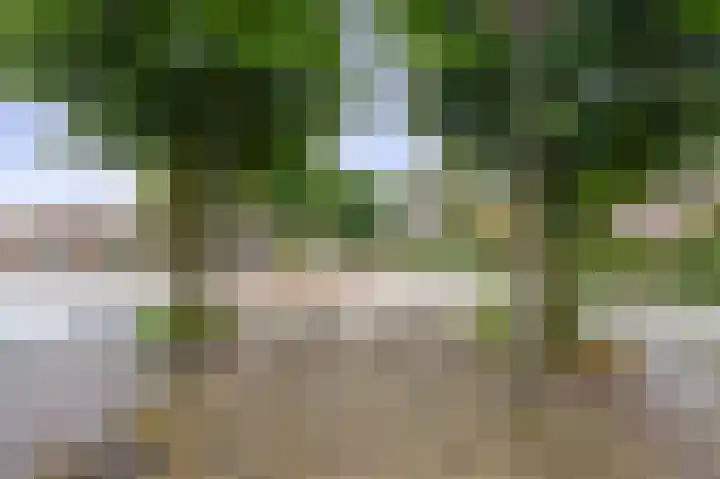 Arthur van Schendelplein 6 Hillegom thumbnail 30