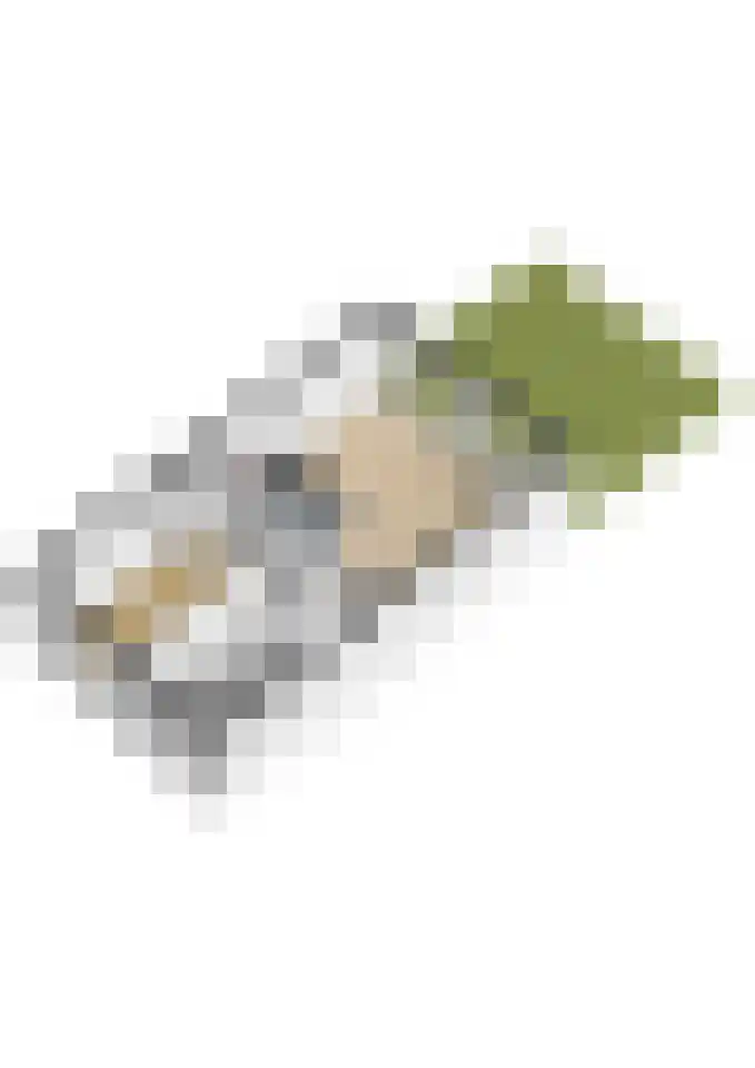 Arthur van Schendelplein 6 Hillegom thumbnail 42