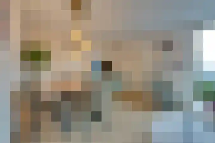 Arthur van Schendelplein 68 Hillegom thumbnail 14