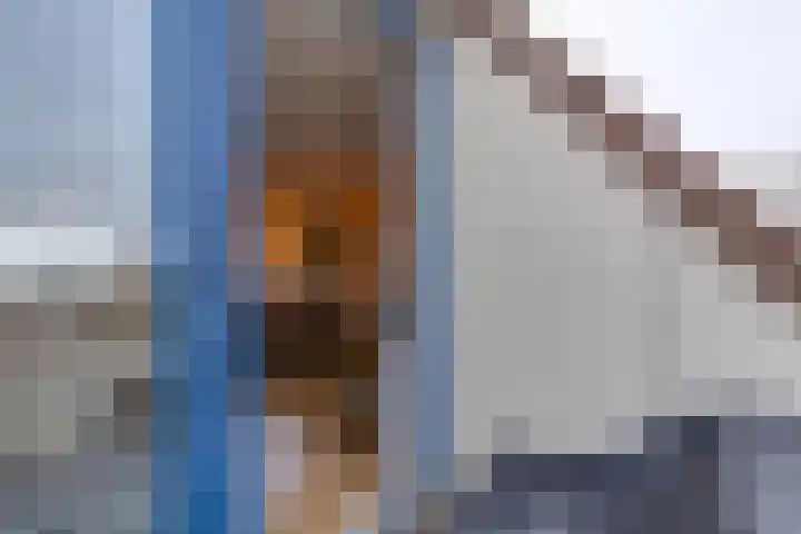 Arthur van Schendelplein 68 Hillegom thumbnail 26