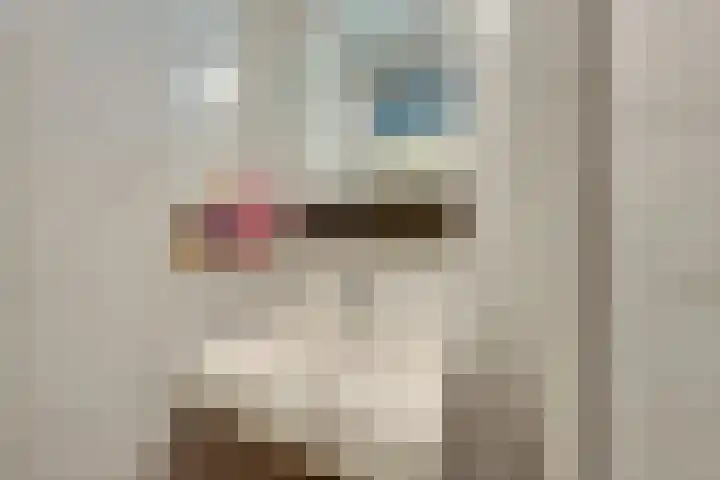 Arthur van Schendelplein 68 Hillegom thumbnail 38
