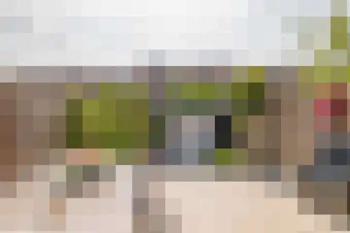 Arthur van Schendelplein 79 Hillegom thumbnail 19
