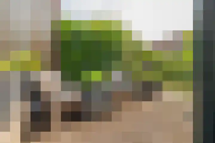 Arthur van Schendelplein 79 Hillegom thumbnail 22