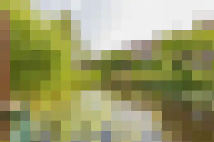 Arthur van Schendelplein 79 Hillegom thumbnail 23