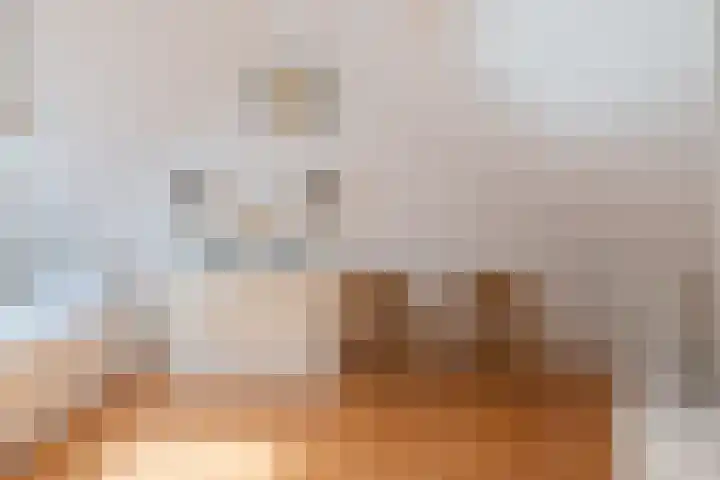Arthur van Schendelplein 79 Hillegom thumbnail 38