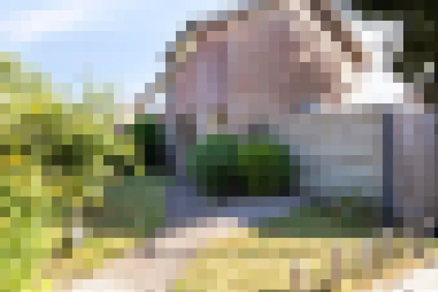 Arthur van Schendelstraat 1 Gemert thumbnail 13