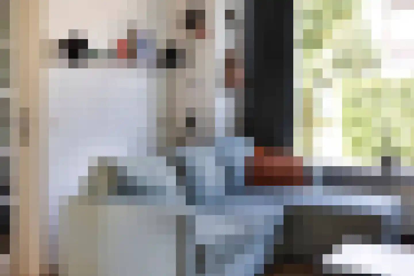 Arthur van Schendelstraat 1 Gemert thumbnail 19