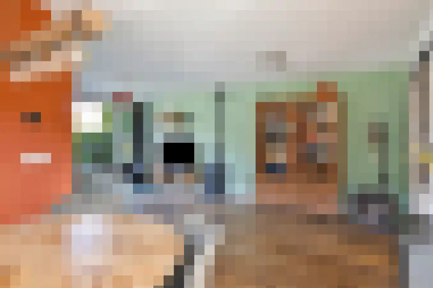 Arthur van Schendelstraat 1 Gemert thumbnail 26