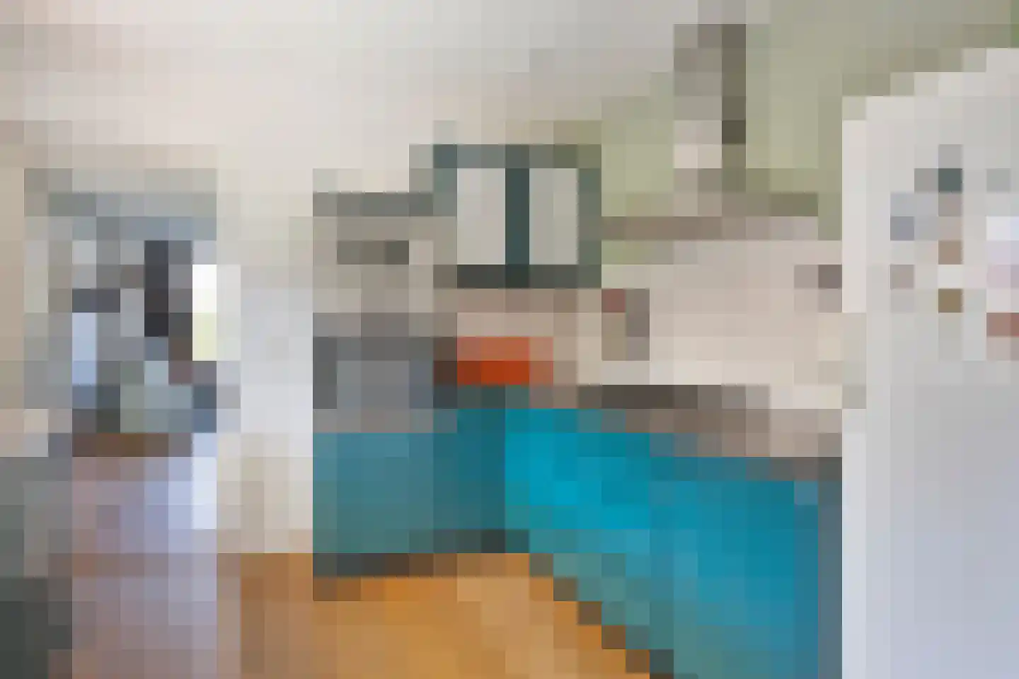 Arthur van Schendelstraat 1 Gemert thumbnail 33