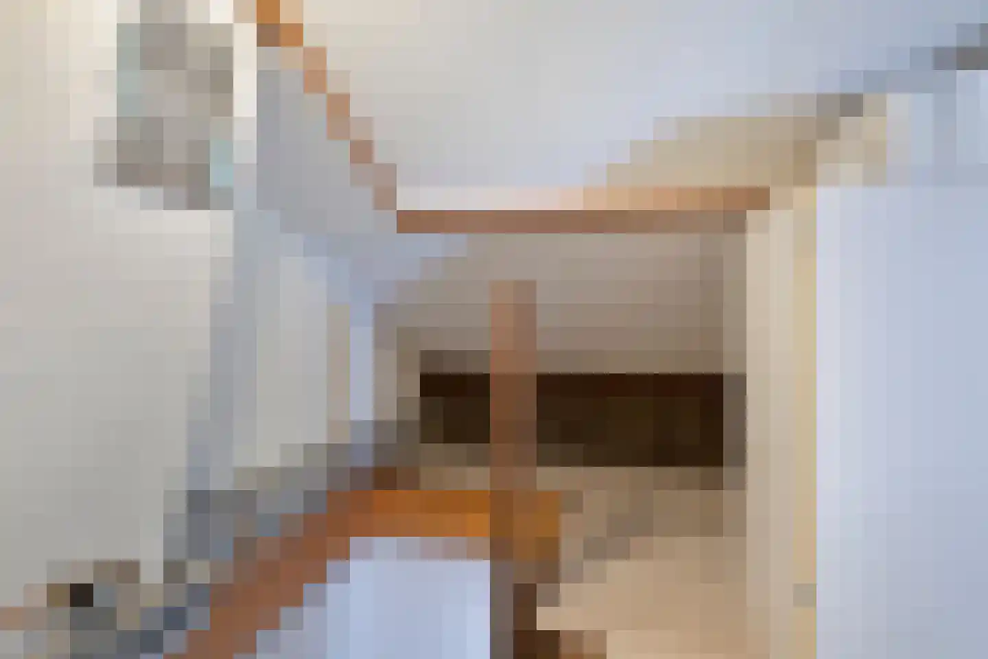Arthur van Schendelstraat 1 Gemert thumbnail 47