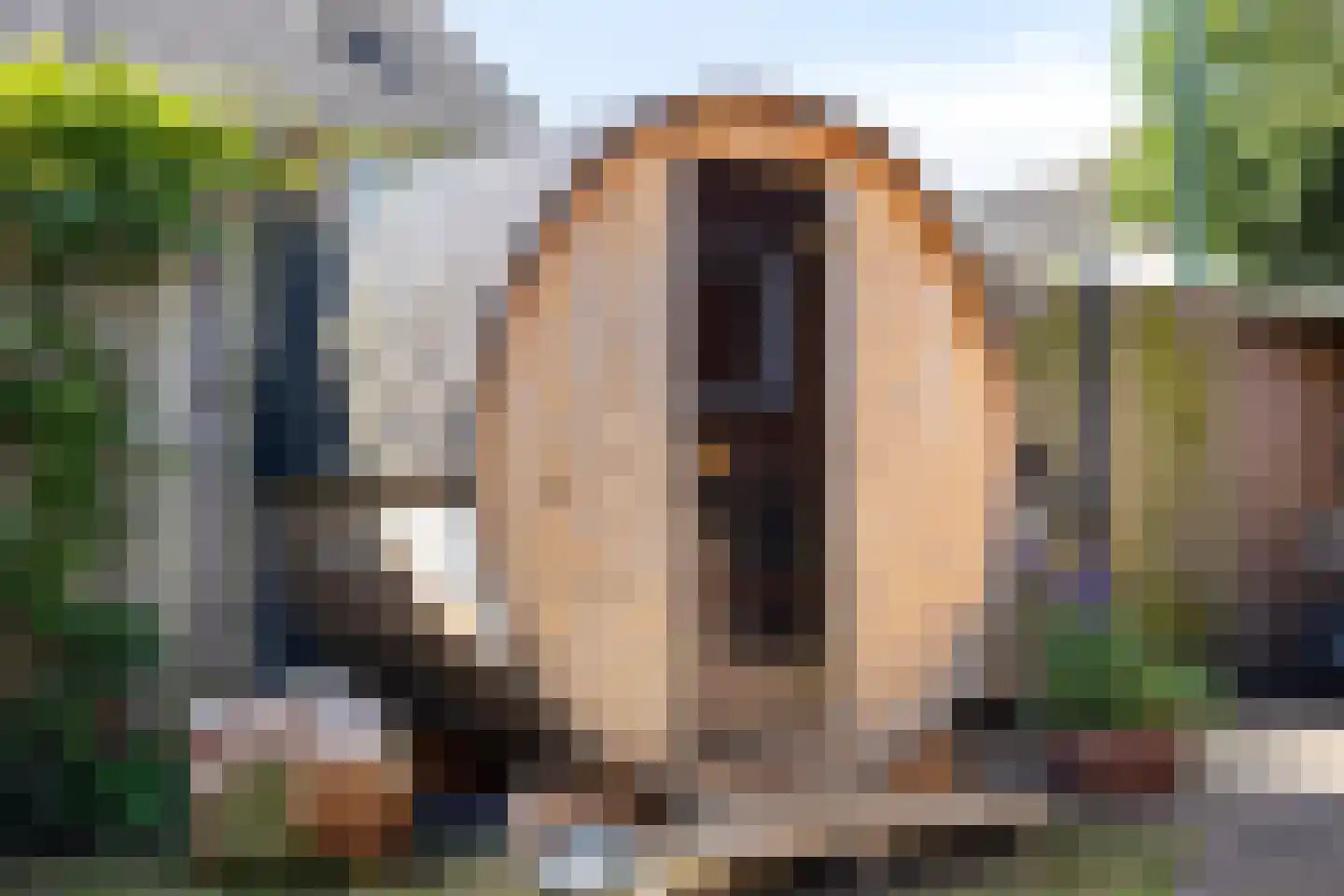 Arthur van Schendelstraat 1 Gemert thumbnail 52