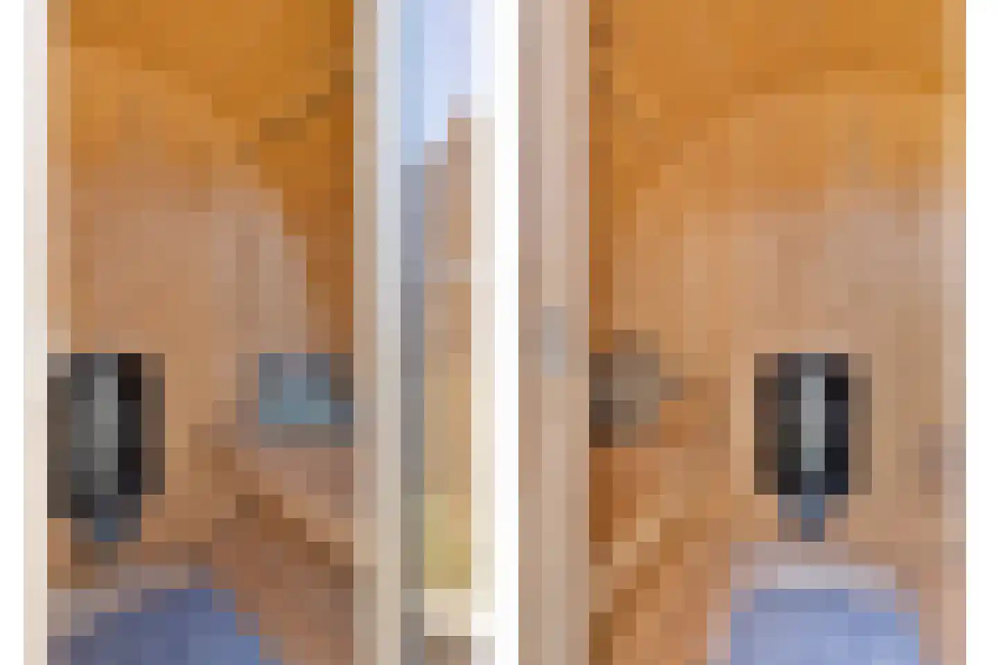 Arthur van Schendelstraat 1 Gemert thumbnail 53
