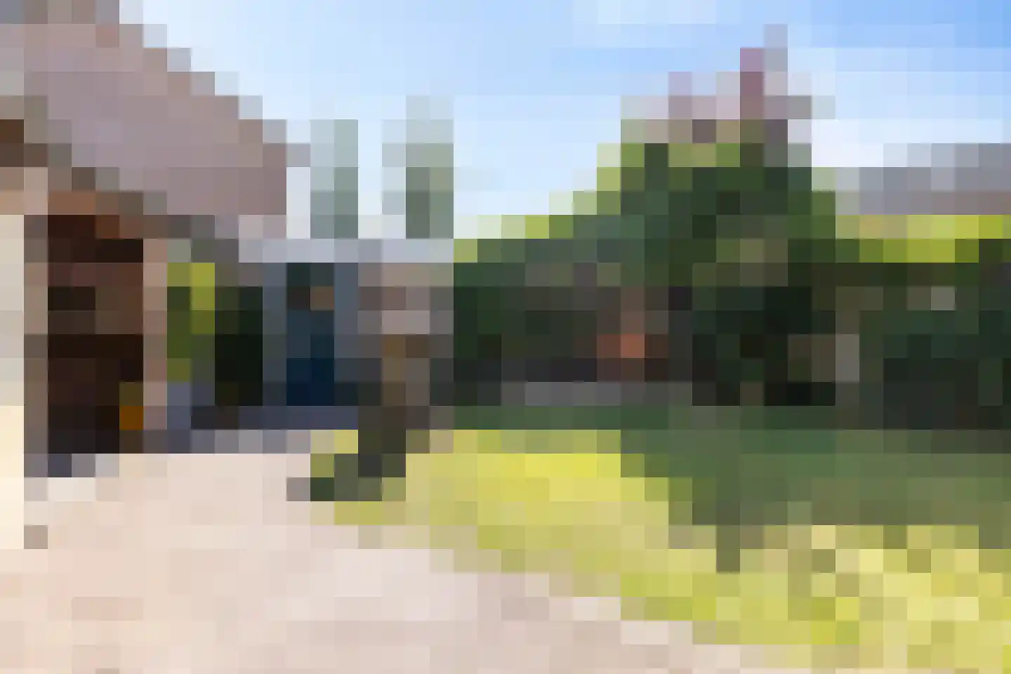 Arthur van Schendelstraat 1 Gemert thumbnail 56
