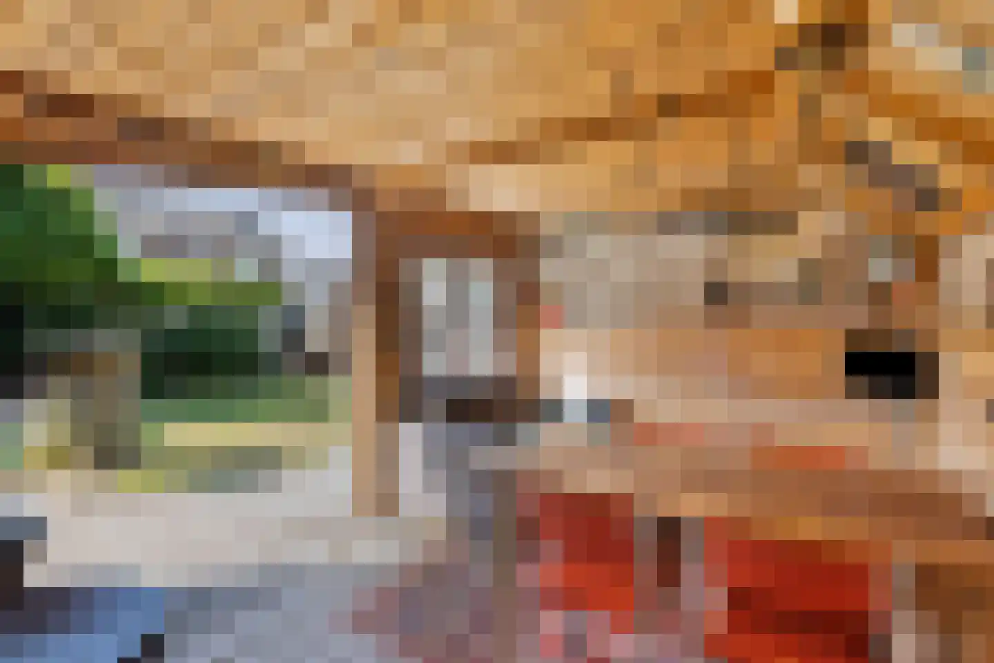 Arthur van Schendelstraat 1 Gemert thumbnail 61