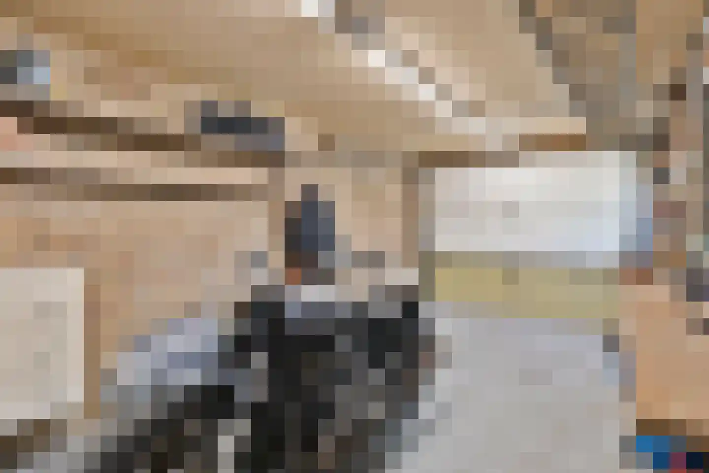 Arthur van Schendelstraat 1 Gemert thumbnail 63