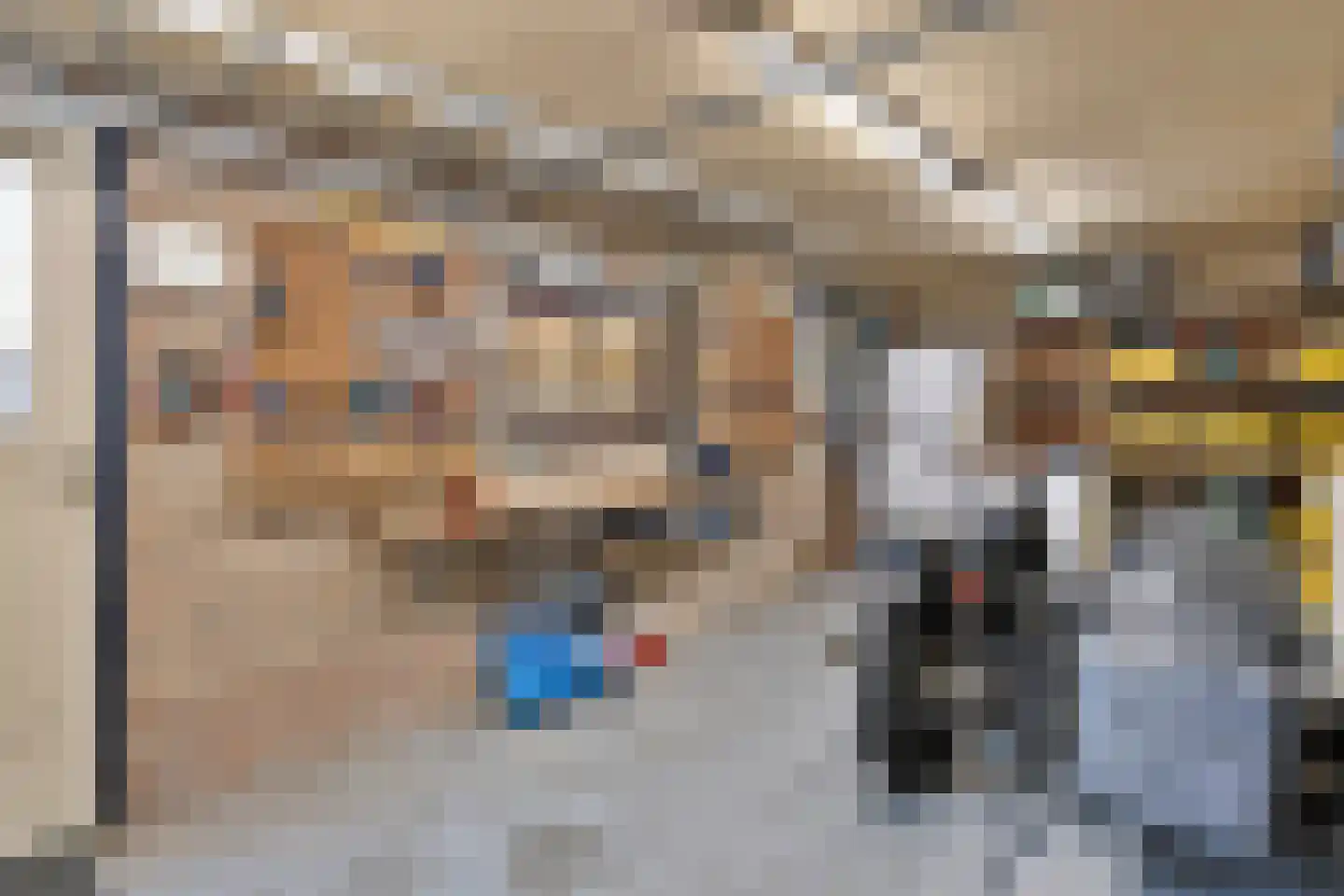 Arthur van Schendelstraat 1 Gemert thumbnail 64