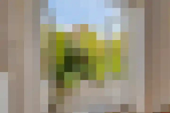 Arthur van Schendelstraat 10 Amsterdam thumbnail 4