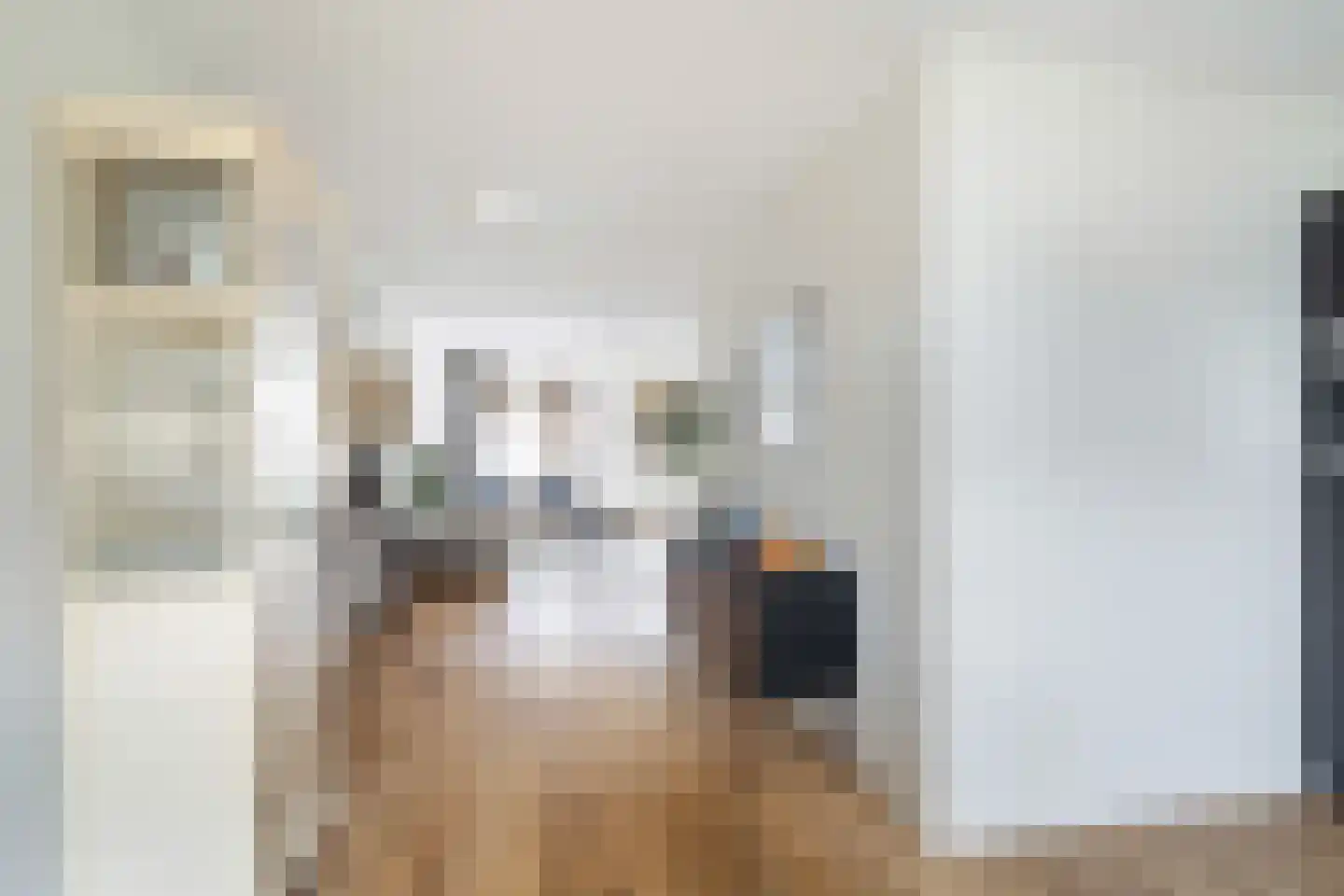 Arthur van Schendelstraat 11 Utrecht thumbnail 21