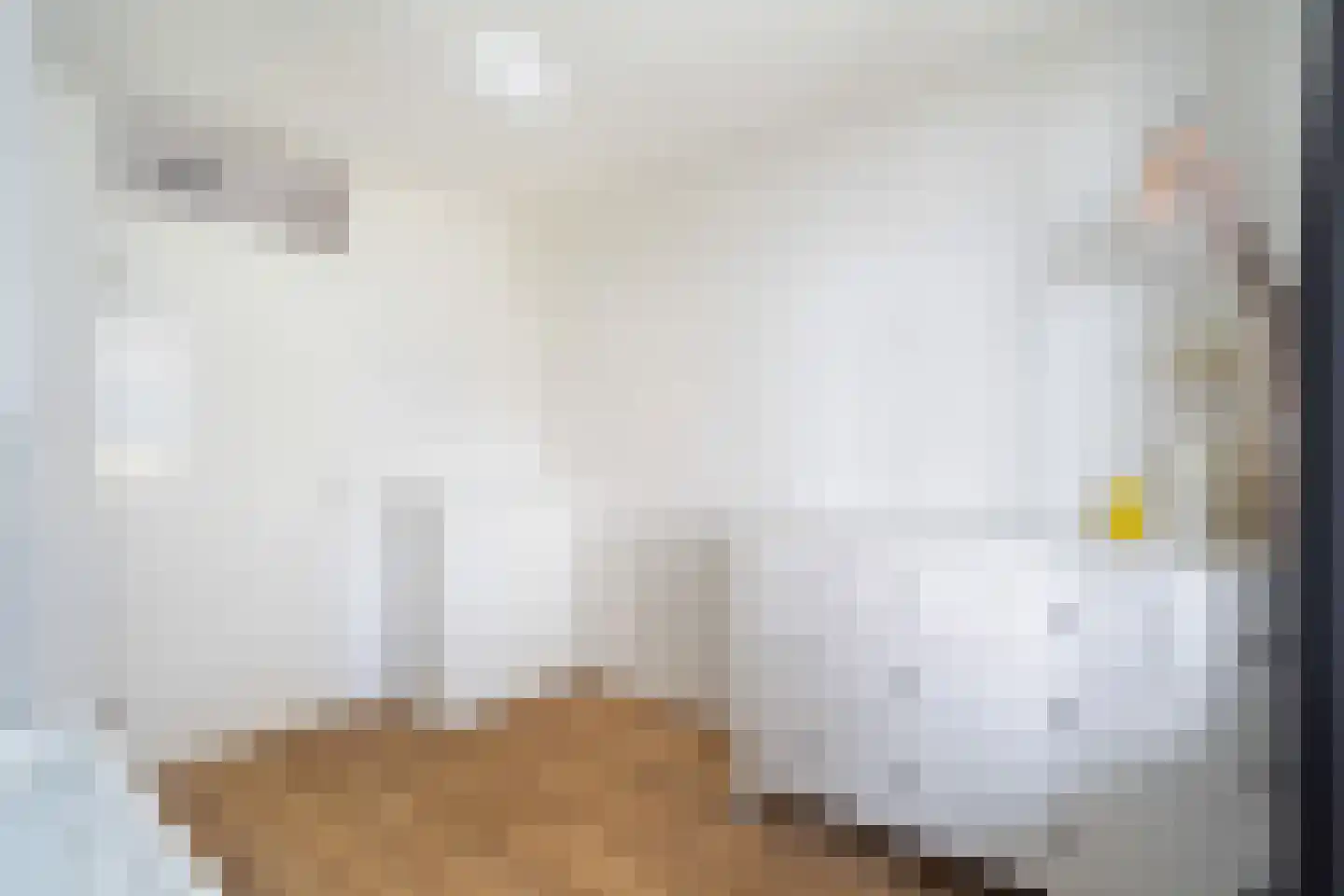 Arthur van Schendelstraat 11 Utrecht thumbnail 34
