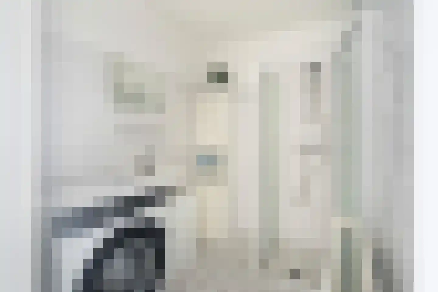 Arthur van Schendelstraat 11 Utrecht thumbnail 36