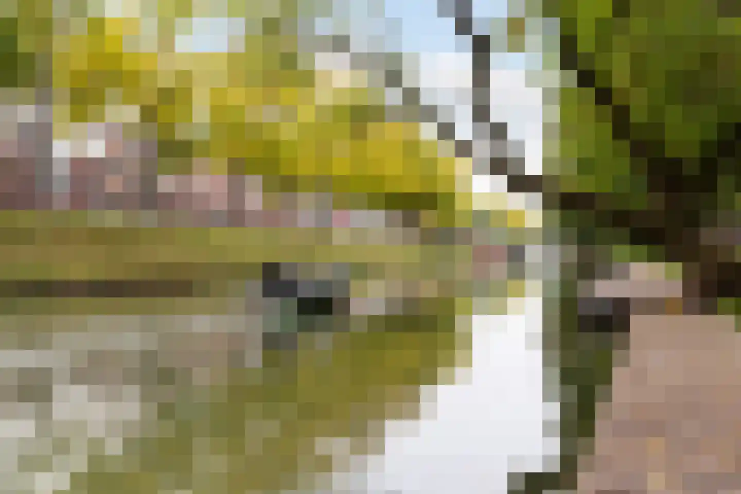 Arthur van Schendelstraat 11 Utrecht thumbnail 43