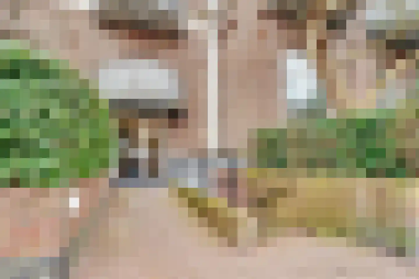 Arthur van Schendelstraat 146 Utrecht thumbnail 41