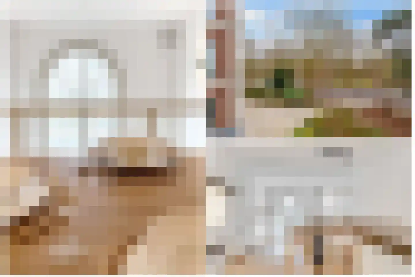 Arthur van Schendelstraat 146 Utrecht thumbnail 5