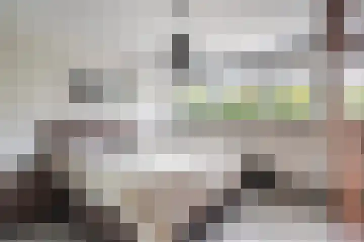 Arthur van Schendelstraat 16 Landgraaf thumbnail 17