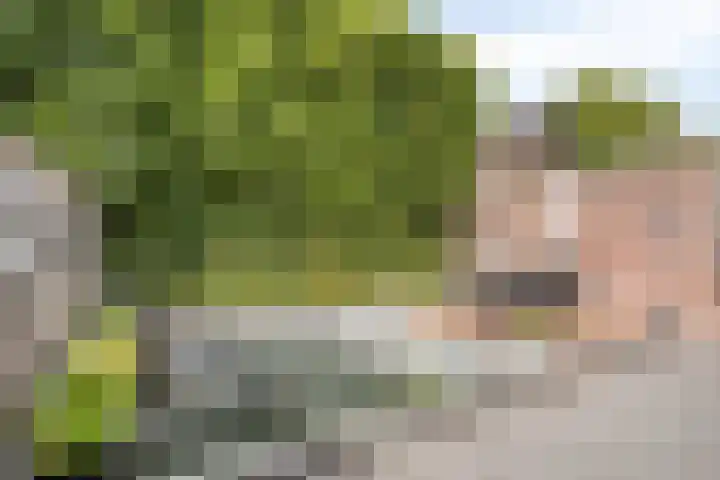 Arthur van Schendelstraat 16 Landgraaf thumbnail 31