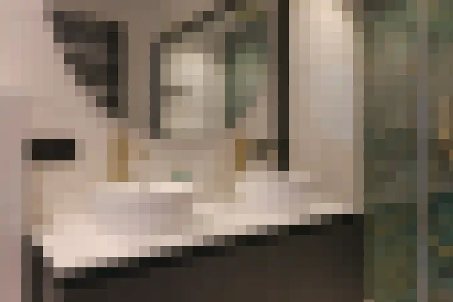 Arthur van Schendelstraat 18 Landgraaf thumbnail 27