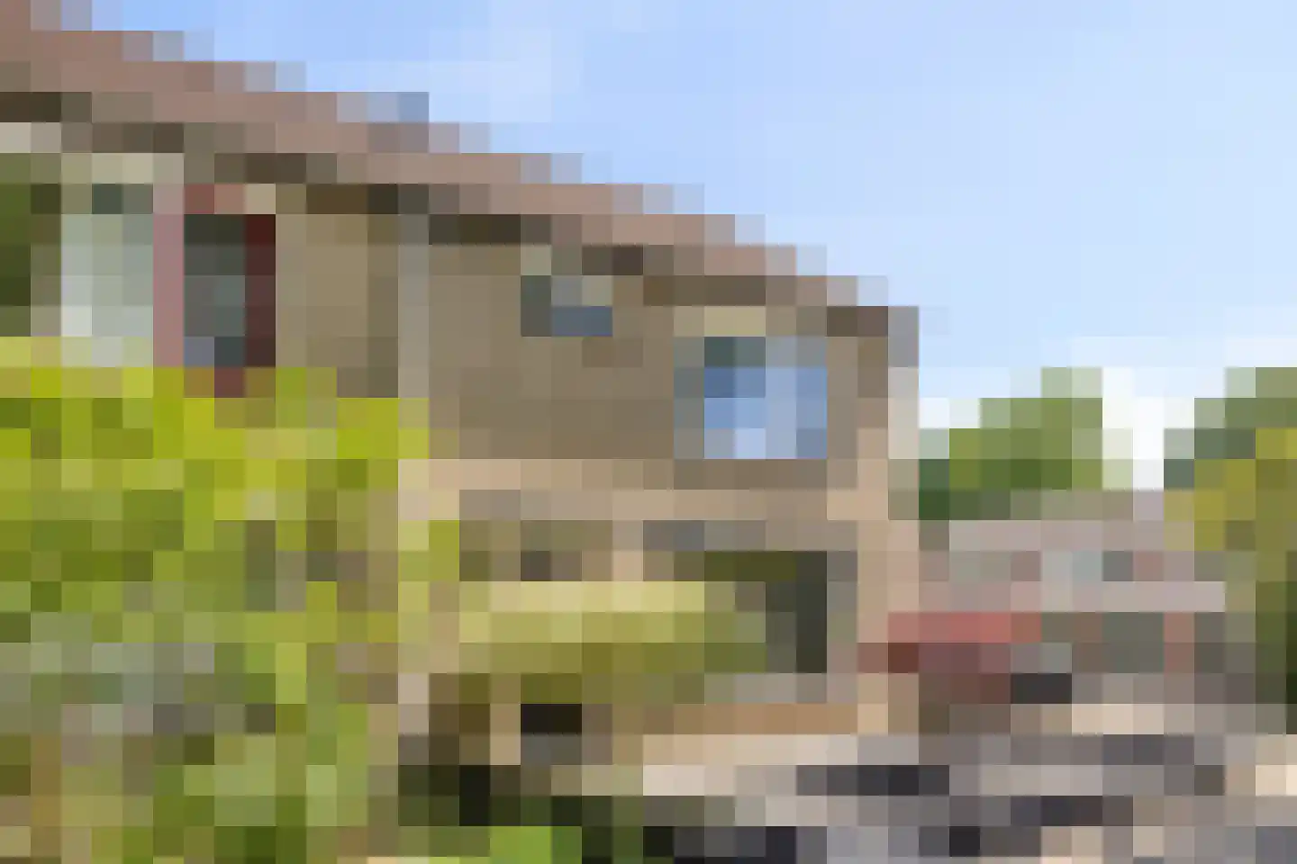 Arthur van Schendelstraat 27 Hengelo thumbnail 31