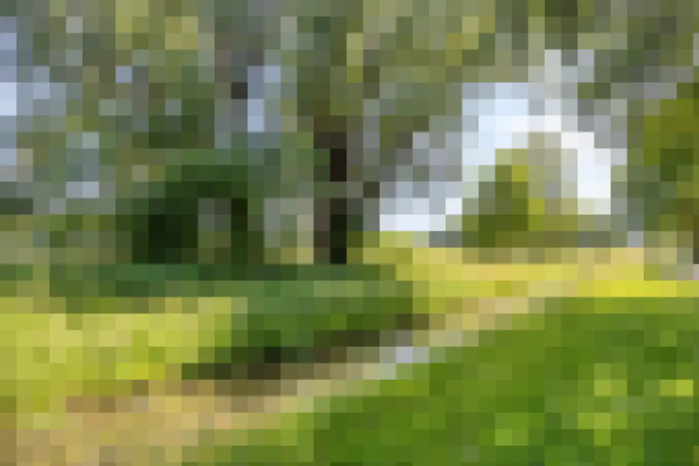 Arthur van Schendelstraat 27 Hengelo thumbnail 33