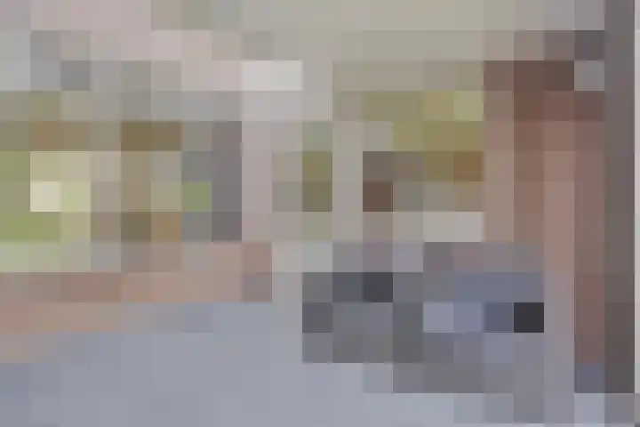 Arthur van Schendelstraat 30 Gemert thumbnail 19