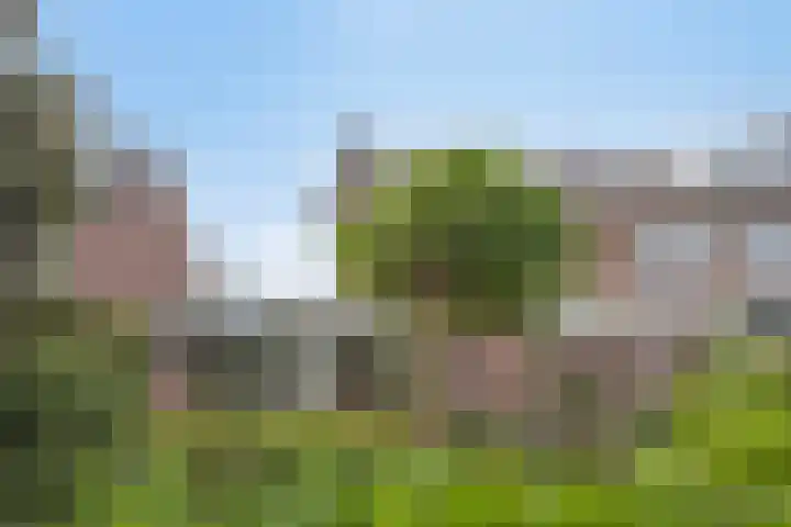 Arthur van Schendelstraat 30 Gemert thumbnail 31