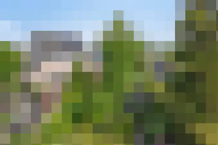 Arthur van Schendelstraat 30 Gemert thumbnail 32